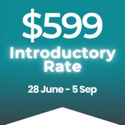 Discount box stating $599 Introductory Rate